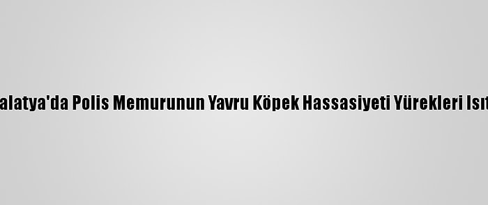 Malatya'da Polis Memurunun Yavru Köpek Hassasiyeti Yürekleri Isıttı