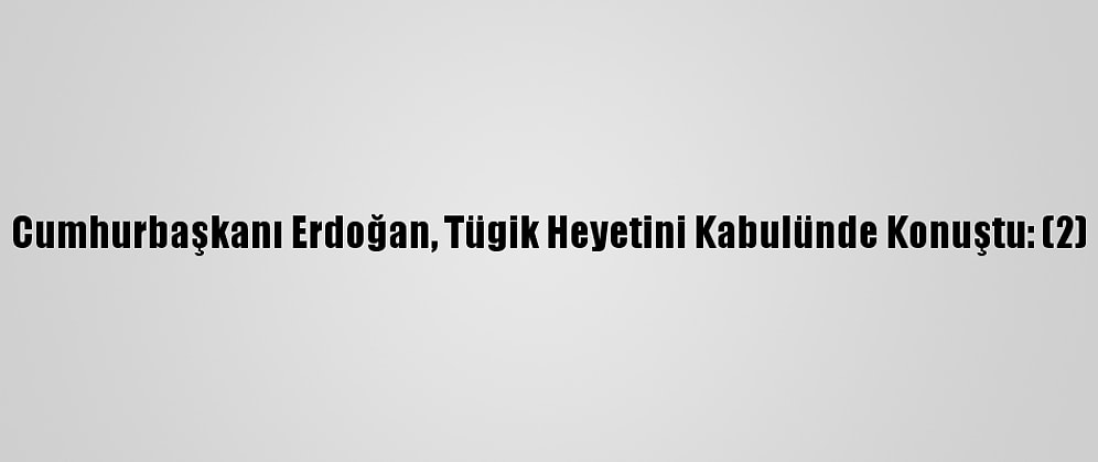Cumhurbaşkanı Erdoğan, Tügik Heyetini Kabulünde Konuştu: (2)