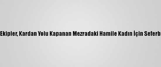 Siirt'te Ekipler, Kardan Yolu Kapanan Mezradaki Hamile Kadın İçin Seferber Oldu