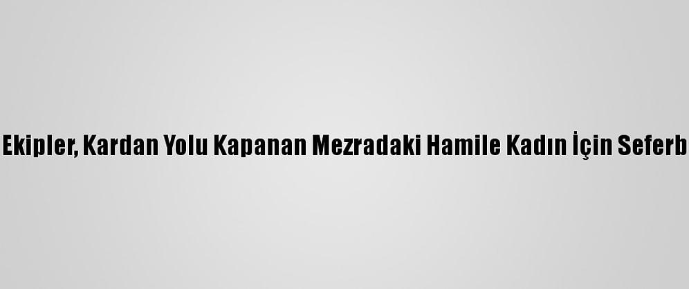 Siirt'te Ekipler, Kardan Yolu Kapanan Mezradaki Hamile Kadın İçin Seferber Oldu