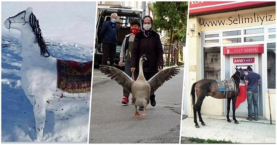 Her Yönüyle Bizi Şaşırtmaya Devam Eden Kars'ta Günlük Hayatta Karşılaşacağınız Birbirinden İlginç 23 Manzara