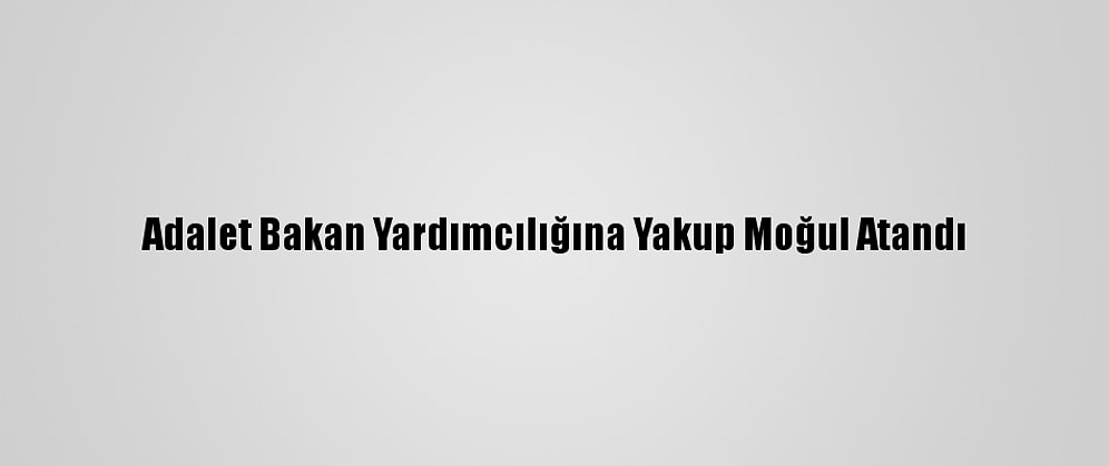 Adalet Bakan Yardımcılığına Yakup Moğul Atandı