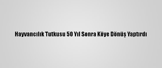 Hayvancılık Tutkusu 50 Yıl Sonra Köye Dönüş Yaptırdı