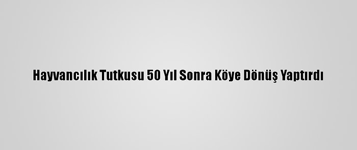 Hayvancılık Tutkusu 50 Yıl Sonra Köye Dönüş Yaptırdı