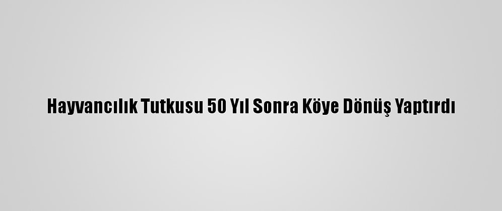 Hayvancılık Tutkusu 50 Yıl Sonra Köye Dönüş Yaptırdı