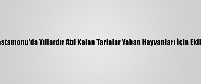 Kastamonu'da Yıllardır Atıl Kalan Tarlalar Yaban Hayvanları İçin Ekildi