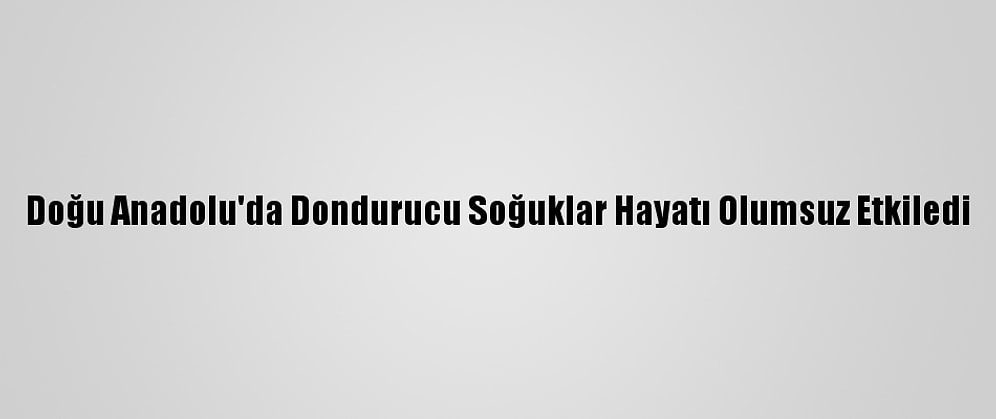 Doğu Anadolu'da Dondurucu Soğuklar Hayatı Olumsuz Etkiledi