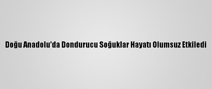 Doğu Anadolu'da Dondurucu Soğuklar Hayatı Olumsuz Etkiledi