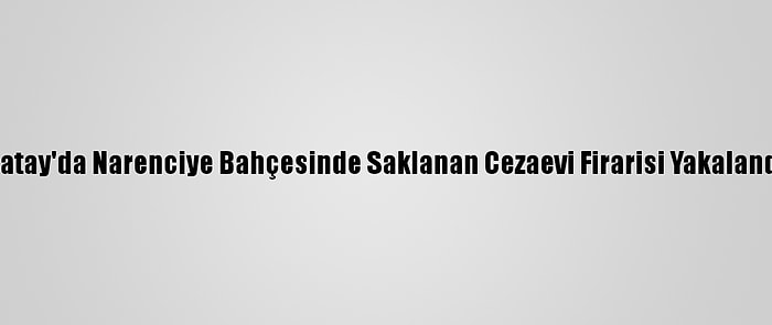 Hatay'da Narenciye Bahçesinde Saklanan Cezaevi Firarisi Yakalandı