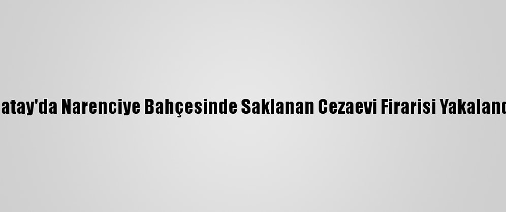 Hatay'da Narenciye Bahçesinde Saklanan Cezaevi Firarisi Yakalandı