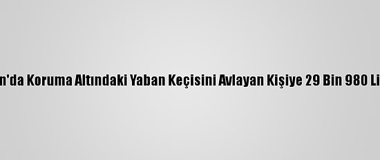 Erzincan'da Koruma Altındaki Yaban Keçisini Avlayan Kişiye 29 Bin 980 Lira Ceza