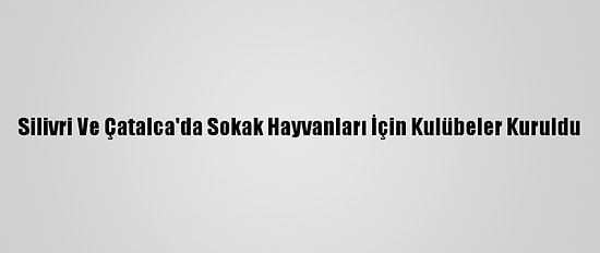 Silivri Ve Çatalca'da Sokak Hayvanları İçin Kulübeler Kuruldu