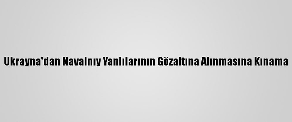 Ukrayna'dan Navalnıy Yanlılarının Gözaltına Alınmasına Kınama