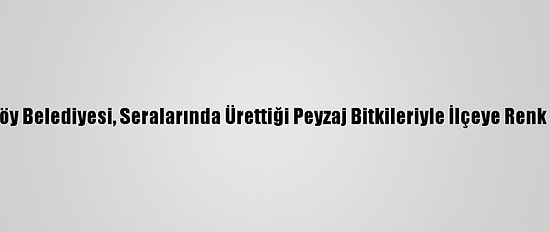 Çiftlikköy Belediyesi, Seralarında Ürettiği Peyzaj Bitkileriyle İlçeye Renk Katıyor