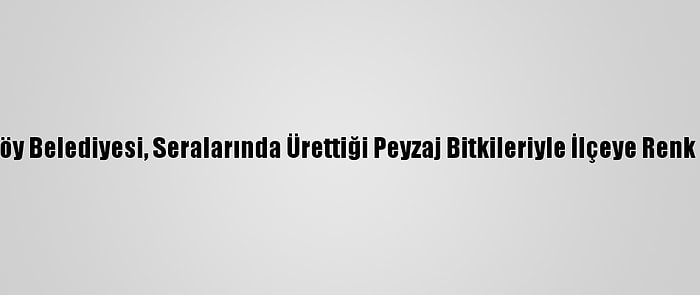 Çiftlikköy Belediyesi, Seralarında Ürettiği Peyzaj Bitkileriyle İlçeye Renk Katıyor