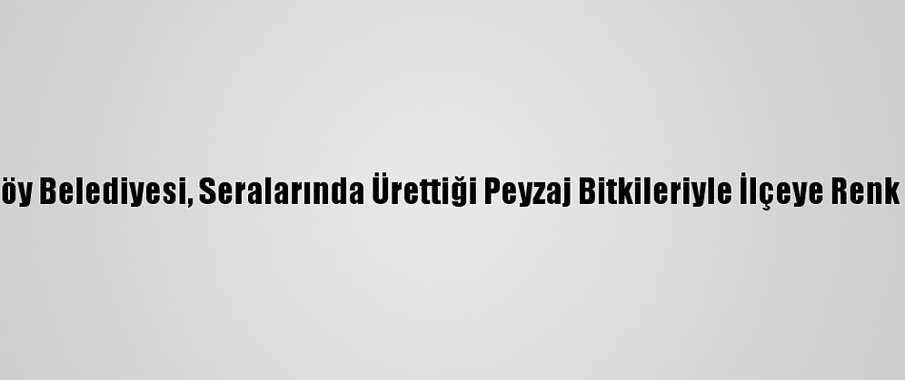 Çiftlikköy Belediyesi, Seralarında Ürettiği Peyzaj Bitkileriyle İlçeye Renk Katıyor