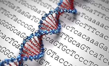 Dedikodular Üzerine Test Yaptılar: Babanın İki Farklı DNA'ya Sahip Olduğu Ortaya Çıktı