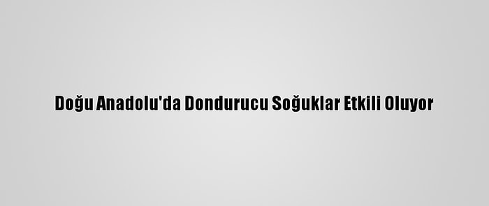 Doğu Anadolu'da Dondurucu Soğuklar Etkili Oluyor