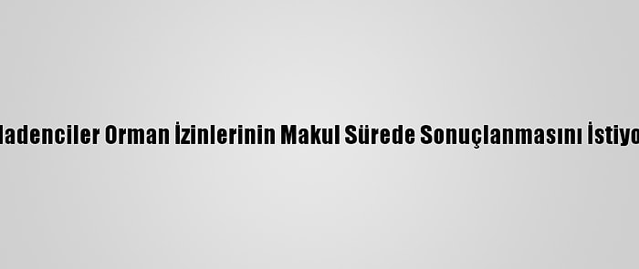 Madenciler Orman İzinlerinin Makul Sürede Sonuçlanmasını İstiyor