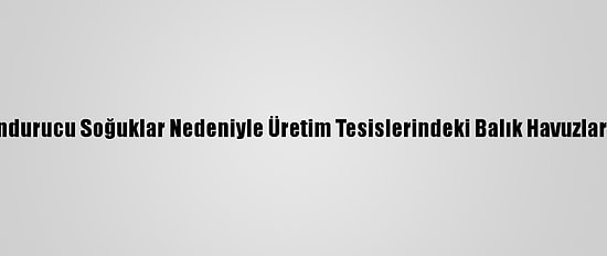 Kars'ta Dondurucu Soğuklar Nedeniyle Üretim Tesislerindeki Balık Havuzları Buz Tuttu