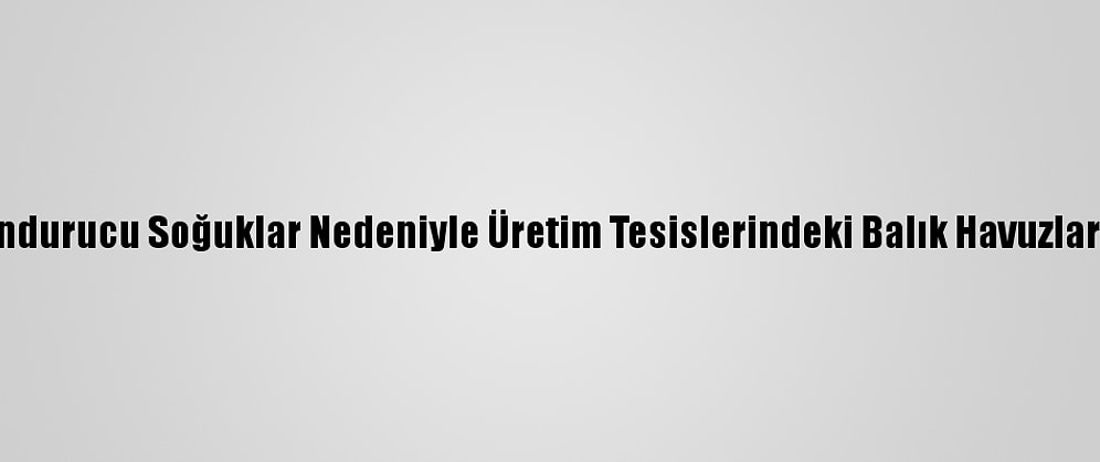 Kars'ta Dondurucu Soğuklar Nedeniyle Üretim Tesislerindeki Balık Havuzları Buz Tuttu