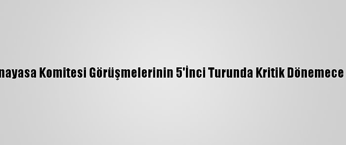 Suriye Anayasa Komitesi Görüşmelerinin 5'İnci Turunda Kritik Dönemece Giriliyor