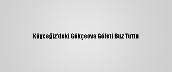 Köyceğiz'deki Gökçeova Göleti Buz Tuttu