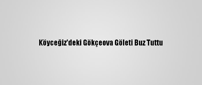 Köyceğiz'deki Gökçeova Göleti Buz Tuttu