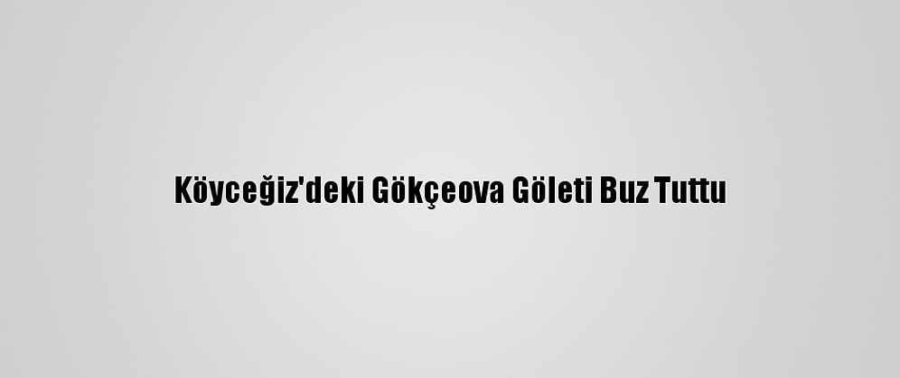 Köyceğiz'deki Gökçeova Göleti Buz Tuttu