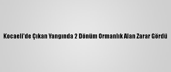 Kocaeli'de Çıkan Yangında 2 Dönüm Ormanlık Alan Zarar Gördü