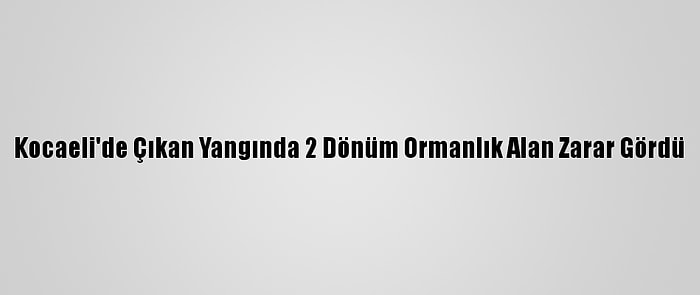 Kocaeli'de Çıkan Yangında 2 Dönüm Ormanlık Alan Zarar Gördü