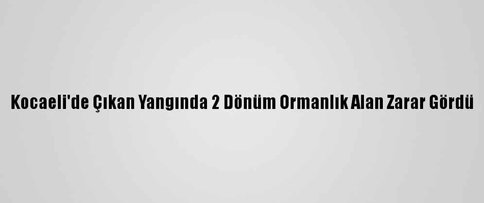 Kocaeli'de Çıkan Yangında 2 Dönüm Ormanlık Alan Zarar Gördü