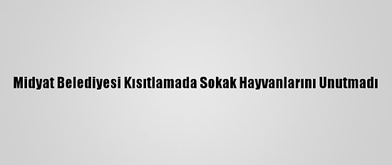 Midyat Belediyesi Kısıtlamada Sokak Hayvanlarını Unutmadı