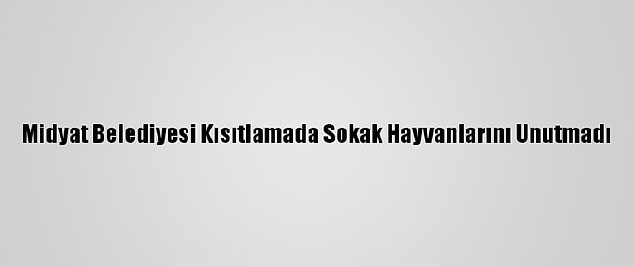 Midyat Belediyesi Kısıtlamada Sokak Hayvanlarını Unutmadı