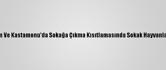 Amasya, Çorum Ve Kastamonu'da Sokağa Çıkma Kısıtlamasında Sokak Hayvanları Unutulmadı