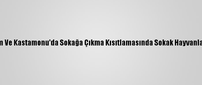 Amasya, Çorum Ve Kastamonu'da Sokağa Çıkma Kısıtlamasında Sokak Hayvanları Unutulmadı