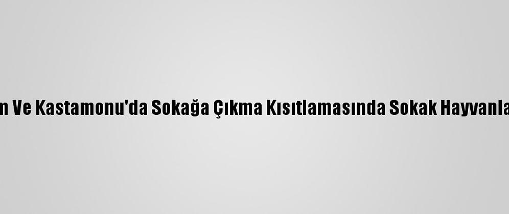 Amasya, Çorum Ve Kastamonu'da Sokağa Çıkma Kısıtlamasında Sokak Hayvanları Unutulmadı