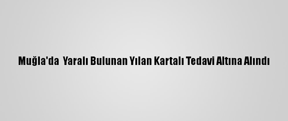 Muğla'da  Yaralı Bulunan Yılan Kartalı Tedavi Altına Alındı