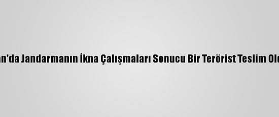 Van'da Jandarmanın İkna Çalışmaları Sonucu Bir Terörist Teslim Oldu