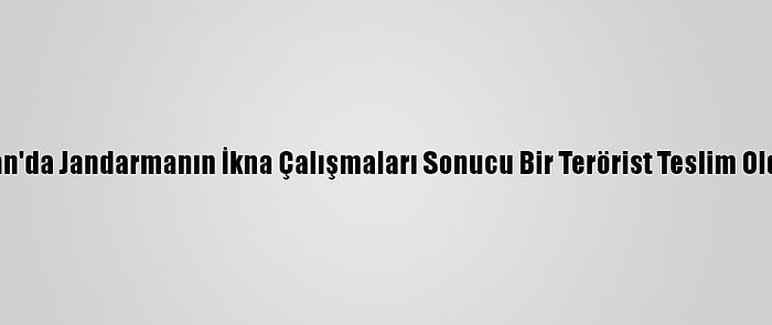 Van'da Jandarmanın İkna Çalışmaları Sonucu Bir Terörist Teslim Oldu