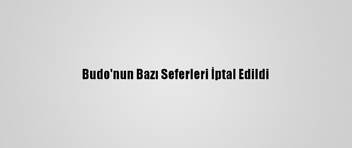 Budo'nun Bazı Seferleri İptal Edildi