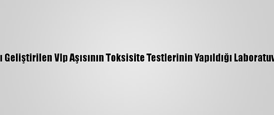 Bakan Varank, Kovid-19'A Karşı Geliştirilen Vlp Aşısının Toksisite Testlerinin Yapıldığı Laboratuvarda İncelemelerde Bulundu: