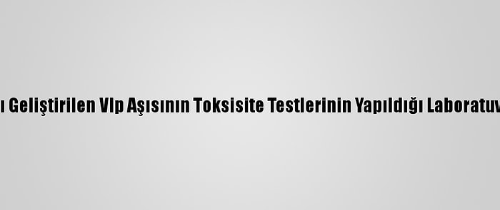 Bakan Varank, Kovid-19'A Karşı Geliştirilen Vlp Aşısının Toksisite Testlerinin Yapıldığı Laboratuvarda İncelemelerde Bulundu: