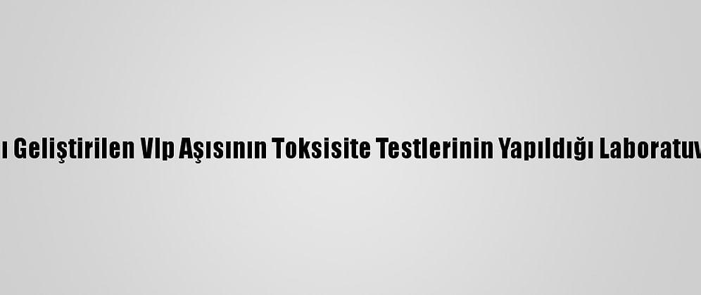 Bakan Varank, Kovid-19'A Karşı Geliştirilen Vlp Aşısının Toksisite Testlerinin Yapıldığı Laboratuvarda İncelemelerde Bulundu: