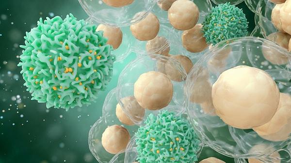 Bağışıklık hücrelerindeki kanser benzerliği