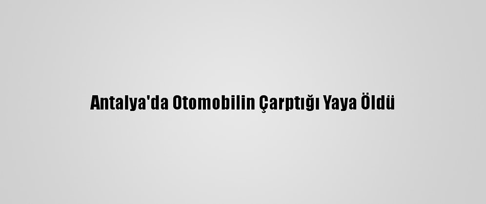 Antalya'da Otomobilin Çarptığı Yaya Öldü