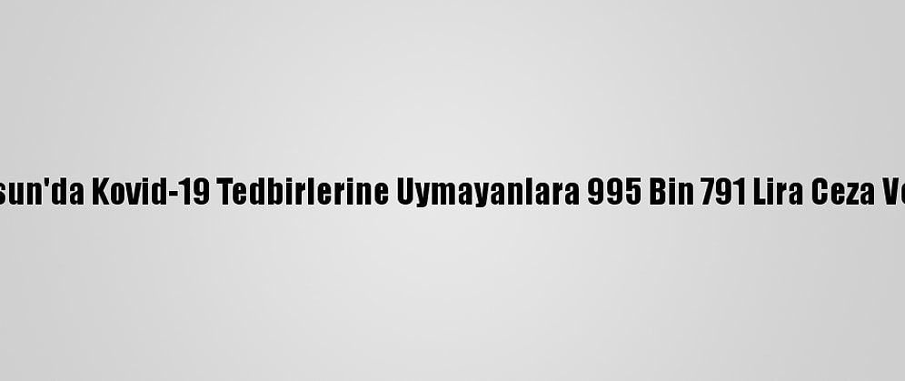Samsun'da Kovid-19 Tedbirlerine Uymayanlara 995 Bin 791 Lira Ceza Verildi