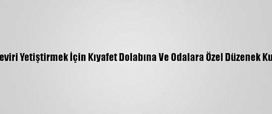 Hint Keneviri Yetiştirmek İçin Kıyafet Dolabına Ve Odalara Özel Düzenek Kurmuşlar