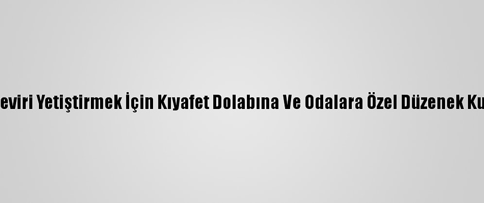 Hint Keneviri Yetiştirmek İçin Kıyafet Dolabına Ve Odalara Özel Düzenek Kurmuşlar