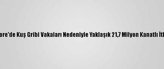 Güney Kore'de Kuş Gribi Vakaları Nedeniyle Yaklaşık 21,7 Milyon Kanatlı İtlaf Edildi